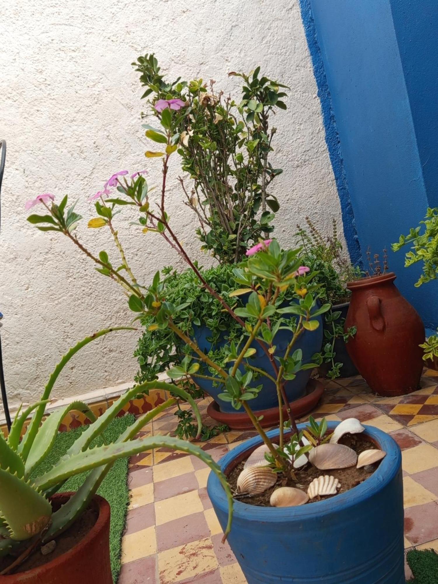 Riad Derb El Aarsa Marakeş Dış mekan fotoğraf